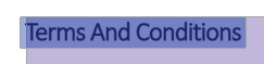 Terms and Conditions text has been selected